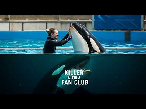 He Had Killed Before: The Dark History of SeaWorld's Tilikum