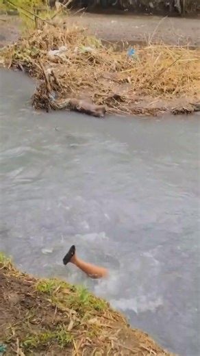 Sit -up exercise gone wrong #goodvibes | Johnny M Sta Ana