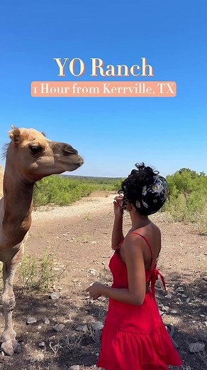 3.5K views · 54 reactions | 漣Exotic & Native Wildlife Tours in the TX...