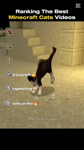 Funniest minecraft cat moments meme