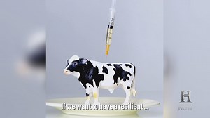 How do you create animal products without the animal? Scientists are changing the way we eat animals by engineering meat. Memphis Meats New Harvest #HistoryNOW | HistoryNow