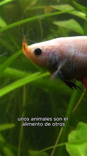 This aquarium changed completely in 365 days