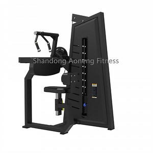 [Hot Item] Aon-Fitness Commercial Gym Pin Loaded Machine Fitness Seated Tricep-Flat