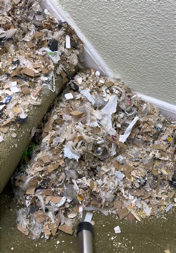 Experience the Joy of Vacuum ASMR: Stress Relief and Fun