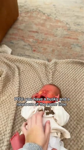 The dog had had enough of the baby's crying | Tails Of Hope