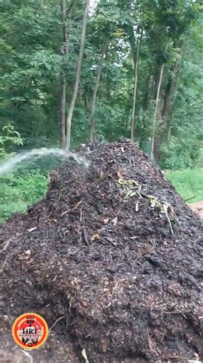 Watering the compost pile. #homestead #compostable