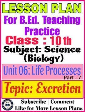Class 10 Science Lesson Plan | Unit 06: Life Processes | Excretion in Human Beings |B.Ed Lesson Plan