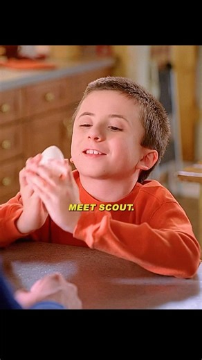 My son successfully hatched a chick.#shorts