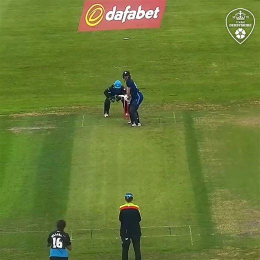 The winning moment as Derbyshire Falcons Women sealed their first win in the Vitality Blast 💙💛🤎 | Derbyshire County Cricket Club