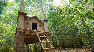 40K views · 2.5K reactions | Build The Most Beautiful Epic Tree house in Deep Jungle by Ancient Skill | Jungle Survival | Facebook