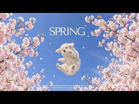 Heartwarming Acoustic Jazz | Trendy Spring Playlist for Cafe Focus ☀️