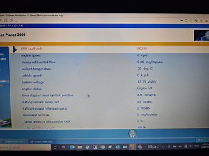 407 2.0HDI cranks but won't start