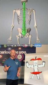 Back Pain explained: Inhibition ❌ Spasm ❌ & the Core 🍏