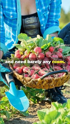 10 Easiest Vegetables to Grow in Pots (Perfect for Small Spaces!) #ContainerGardening #urbangarden