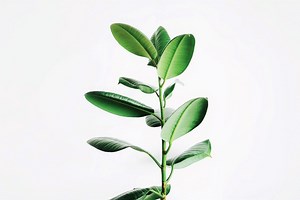 Stand Out Fit In★スタンドアウト・フィットインをカタカナで歌ってみよう～ワンオクロック～