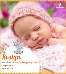 Roslyn Name Meaning, Origin, History, And Popularity