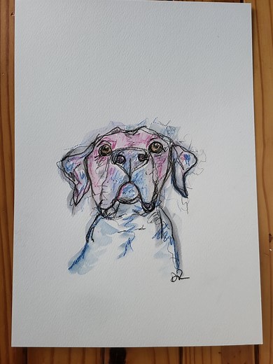 Labrador Retriever in Graphite and Watercolour. A4 Original Painting. - Etsy