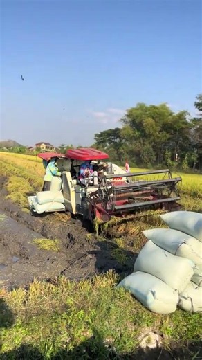 MAXXI ||#automobile #kombi #kombisawah #maxxibimo102standar #maxxibimoterbaru #combineharvester