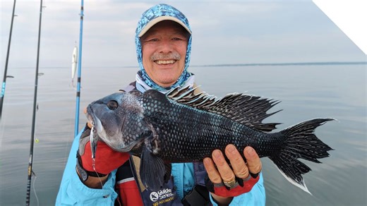 Salt water jigging with the Stingnose Peanut Bunker and Eye Drops