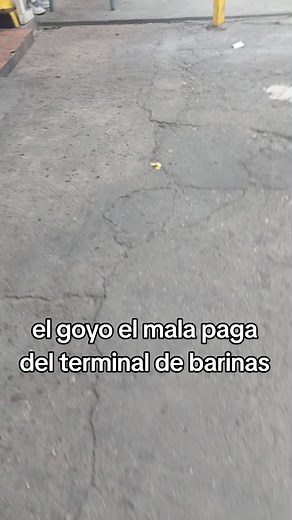 Selector.com on TikTok