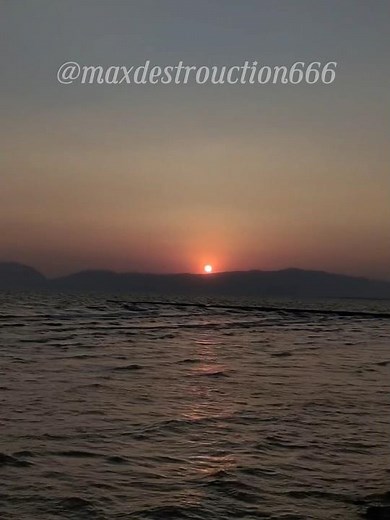 The Max ASMR | #memes #asmr #relax #jumpscare #shorts