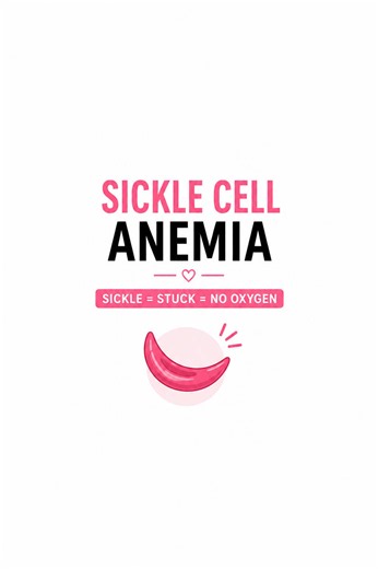 🩸Make it make sense!👇🏻 Remember this: SICKLE = STUCK = NO OXYGEN When oxygen gets low, RBCs containing Hemoglobin S can become hard sickle-shaped. Those cells get STUCK in small blood vessels ➡️ blood flow decreases ➡️ tissues don’t get enough oxygen. That explains what you’re seeing: 🩸 Severe pain → decreased oxygen to tissues 🫁 Chest pain SOB → think acute chest syndrome 🚨 🧠 Neuro changes → worry about stroke 💧 Dehydration → increases sickling During a crisis think: 💧 HYDRATE 🫁 OXYGE