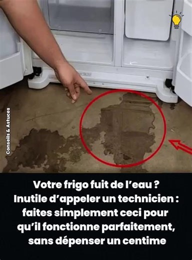 Avec cette astuce toute simple, vous pouvez facilement résoudre le problème d’une fuite d’eau dans votre réfrigérateur — qu’elle provienne de | Comment Économiser
