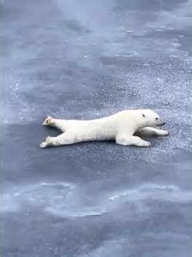 Slides Across Thin Ice