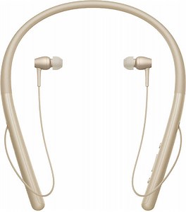 Sony WI-H700
