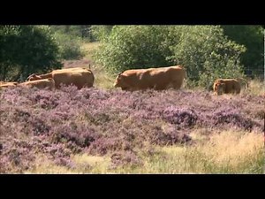 RESTER AU VILLAGE Mathieu MARTINIE