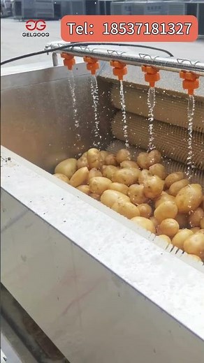 Potato Brush Washing & Peeling Machine Real Shot