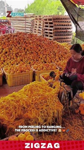 Genius Farming Tools for Peeling Fruit Quickly & Efficiently