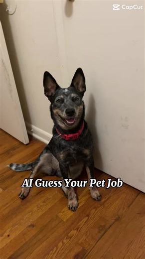 My beautiful puppy Leah