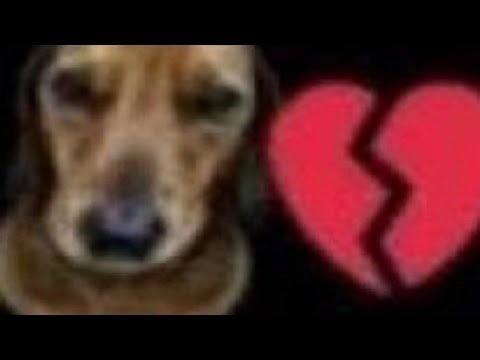 I, dont like, mobile zeqa gameplay