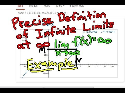 Precise Definition of Infinite Limits at Infinity: Example