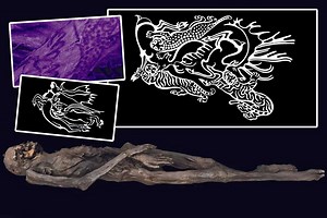 Stunning 2,500-year-old TATTOOS from 'ice mummy' reveal 'mythical creatures'