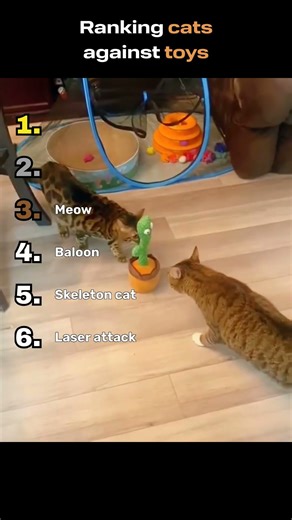 Cats Getting Scared by Toys 😂