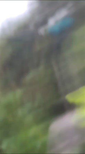 761K views · 882 reactions | Our team is making every effort to undertake restoration efforts for the Spring Garden Water Treatment Plant. Spring Garden serves; Birch Grove, Adelphi, Beaureguard, Providence, Lower & Upper Capital, Balthazar, La Digue, Belle Vue Land, Noel's Hill, St. James, The Mammy, Bocas, Brandon Hall and surrounding areas. We thank you for your understanding, patience and cooperation. | NAWASA Grenada | Facebook