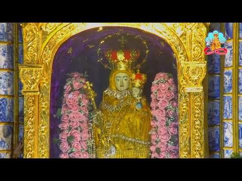 🔴 Live 14 February 2026 @ Vailankanni Shrine Basilica