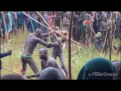 Donga: Traditional stick fighting of the Suri people