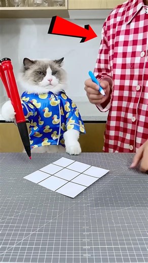 Cheating in tik-tac-toe 😂