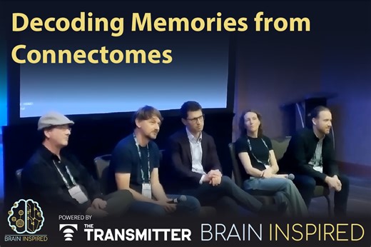 Can neuroscientists decode memories solely from a map of synaptic connections?