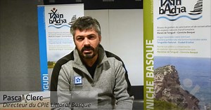 Belharra : la vague mythique du Pays Basque - En Pays Basque