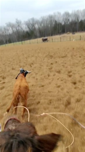 Team Roping #Jesus #classicropes