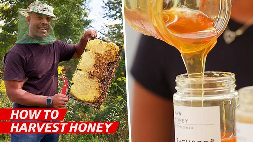 107K views · 1K reactions | Zach & Zoe Sweet Bee Farm is a family-run business that makes local, raw honey, and hand delivers it to restaurants and markets around NYC | Eater | Facebook