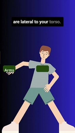 Anatomy in a Flash: Superior, Inferior, Medial, Lateral Explained! #shortsvideo #biology