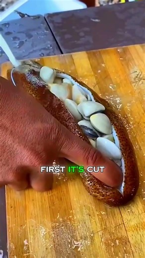 What’s Inside A Sea Cucumber