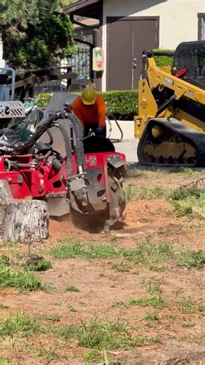 Stump Grinding