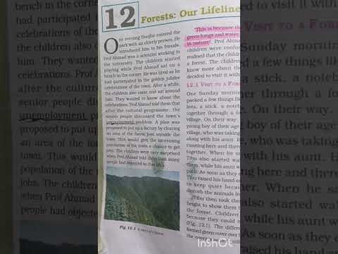 NCERT Science Book – Class 7Chapter 12: Forests: Our Lifeline