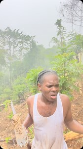 It’s raining 🌧️ all around me I can feel it. It’s alot of rain 🌧️ it’s just the blessings 🙏💯🇯🇲 #rain #hardwork #hardworkpaysoff #blessings #godbless #godisgood #nature #healthy #viral #trending #reels #farming #farm | Venomhype Rebellion